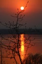 Sunset on the Volga in early spring, the sun on a branch.